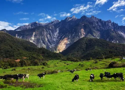 4D3N Kota Kinabalu Nature Tours