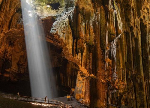 3D2N Sepilok, Kinabatangan River, Gomantong Cave & Sandakan City