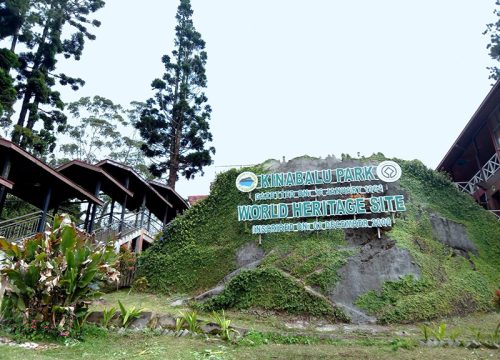 Kinabalu National Park Tour