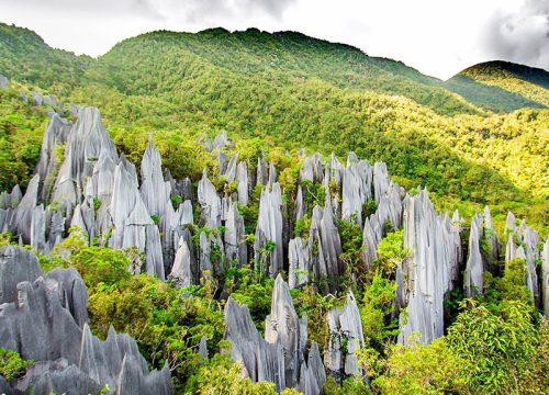 3D2N Mulu Pinnacles