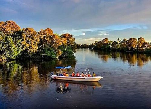 Klias/Kawa Kawa Fireflies Sunset River Cruise
