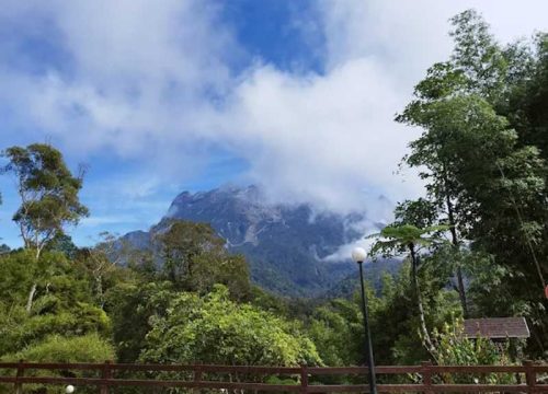 Kinabalu Park & Poring Hot Springs Tour